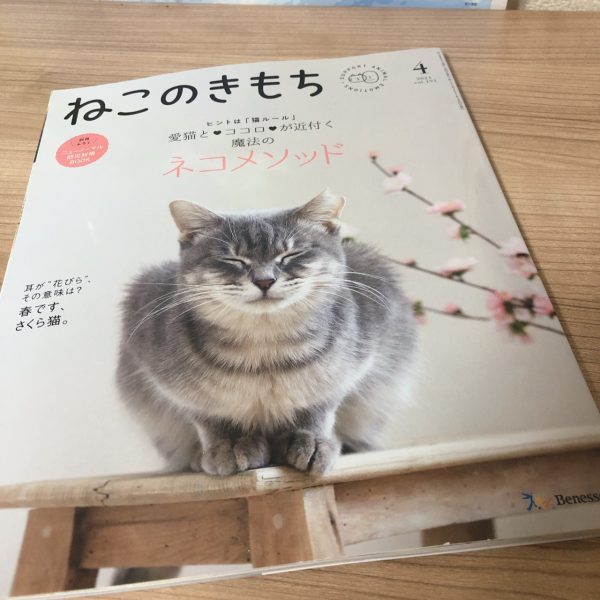 ねこのきもち4月号【2021年】到着！雑誌・ふろくレビュー - 福袋ギルド